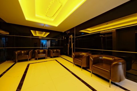 2+1 Leilighet i Alanya, Antalya, Tyrkia Nr. 223115 - 20