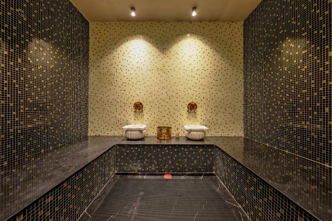 2+1 Leilighet i Alanya, Antalya, Tyrkia Nr. 223115 - 29