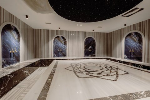 2+1 Leilighet i Alanya, Antalya, Tyrkia Nr. 223115 - 17