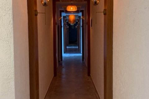 1+1 Wohnung  in Antalya, Türkei Nr. 222729 - 25