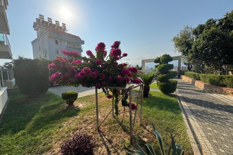 1+1 Wohnung  in Kestel, Antalya, Türkei Nr. 218702 - 6