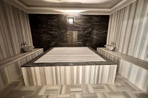 2+1 Lägenhet  i Alanya, Antalya, Turkiet Nr. 219253 - 22