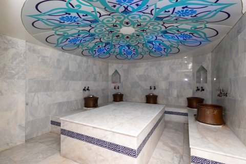 Daire  2+1  Konaklı, Antalya, Türkiye №219256 - 16