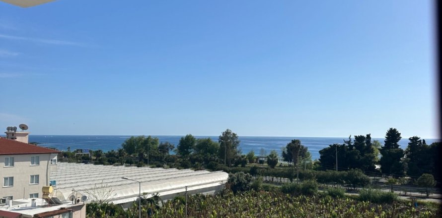 Квартира  1+1 в Аланье, Анталья, Турция №216860