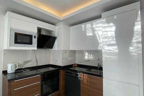 Аренда квартиры  в Аланье, Анталье, Турция 1+1, 65м2, №216862 – фото 19