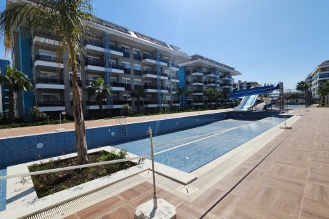 Аренда квартиры  в Аланье, Анталье, Турция 1+1, 65м2, №216564 – фото 15