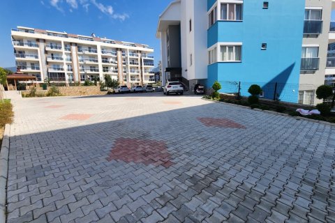 Аренда квартиры  в Аланье, Анталье, Турция 1+1, 65м2, №216564 – фото 19