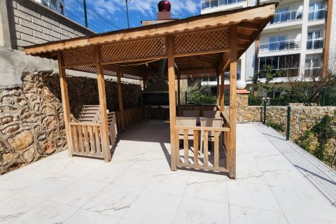 Аренда квартиры  в Аланье, Анталье, Турция 1+1, 65м2, №216564 – фото 24