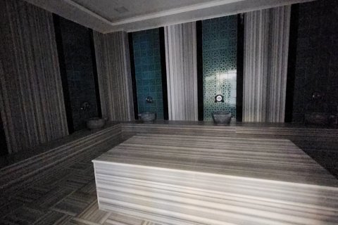 Аренда квартиры  в Аланье, Анталье, Турция 1+1, 65м2, №216564 – фото 12