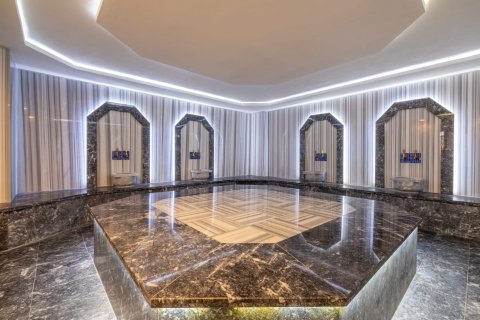 1+1 Lejlighed  i Alanya, Antalya, Tyrkiet Nr. 216644 - 20