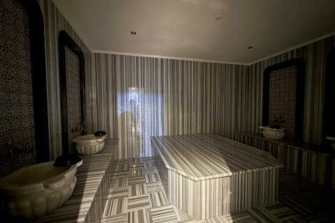 1+1 Lejlighed  i Alanya, Antalya, Tyrkiet Nr. 227009 - 29