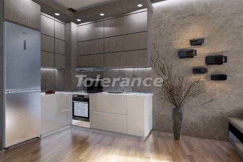 Daire  1+1  İstanbul, Türkiye №213203 - 12