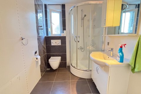 Villa  8+1  Alanya, Antalya, Türkiye №221698 - 28