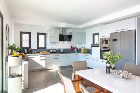 Villa for sale in Kas, Antalya, Turkey, 6 bedrooms, 350m2, No. 237957 – photo 18