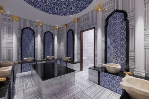 1+1 Wohnung  in Alanya, Antalya, Türkei Nr. 223586 - 25