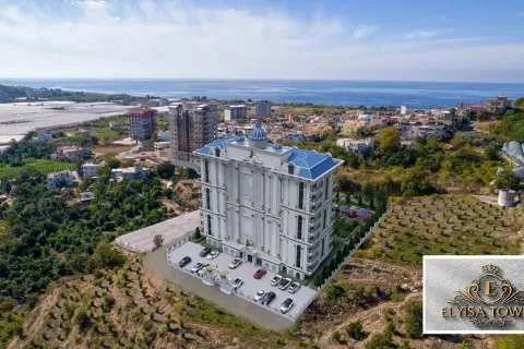 1+1 Wohnung  in Alanya, Antalya, Türkei Nr. 223586 - 6
