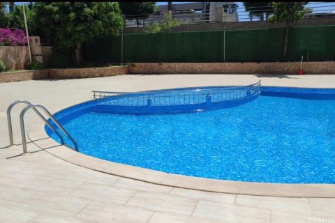 Apartment for sale  in Alanya, Antalya, Turkey, 1 bedroom, 78m2, No. 218577 – photo 11