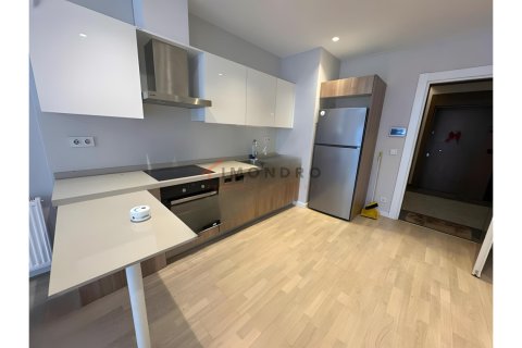 1+1 Wohnung  in Kâğıthane, Istanbul, Türkei Nr. 215647 - 5