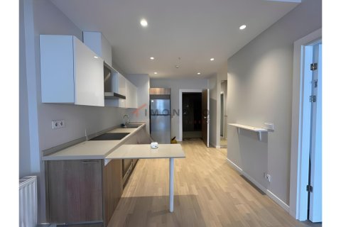 1+1 Wohnung  in Kâğıthane, Istanbul, Türkei Nr. 215647 - 4