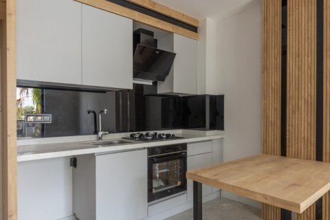 2+1 Lägenhet  i Altintash, Aksu, Antalya, Turkiet Nr. 206838 - 11