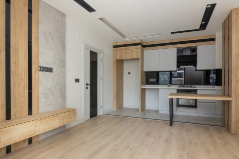 2+1 Lägenhet  i Altintash, Aksu, Antalya, Turkiet Nr. 206838 - 12