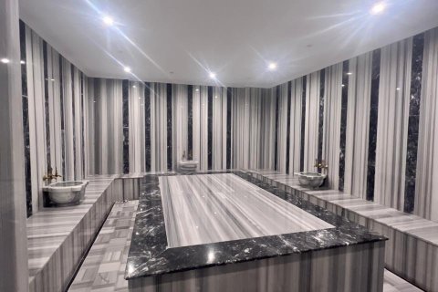 آپارتمان در Kestel ، ترکیه 1 خوابه ، 54 متر مربع. شماره 217890 - 13