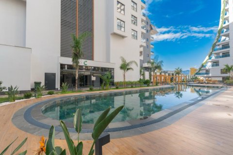 آپارتمان در  Mahmutlar ، ترکیه 1 خوابه ، 61 متر مربع.  شماره 215544 - 13