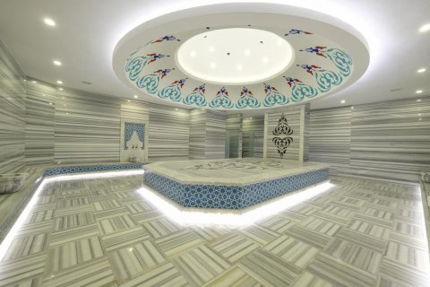 3+1 Leilighet  i Alanya, Antalya, Tyrkia Nr. 218998 - 17