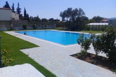 4+1 Villa i Izmir, Tyrkia Nr. 234267 - 2