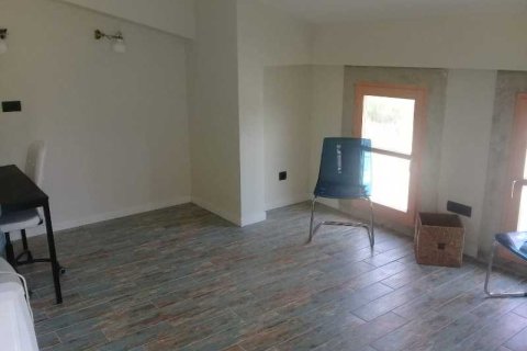 4+1 Villa i Izmir, Tyrkia Nr. 234267 - 13