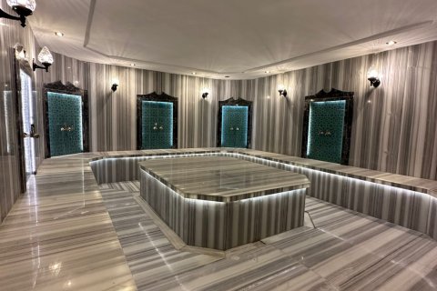 Apartment for sale  in Alanya, Antalya, Turkey, 1 bedroom, 60m2, No. 222282 – photo 14