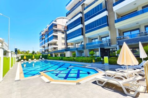 1+0 Apartment  in Kargicak, Alanya, Antalya, Turkey No. 224948