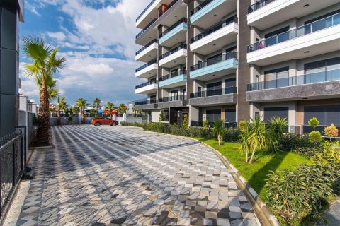1+0 Wohnung  in Kargicak, Alanya, Antalya, Türkei Nr. 224948 - 13