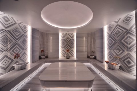 1+1 Lägenhet i Alanya, Antalya, Turkiet Nr. 237706 - 30