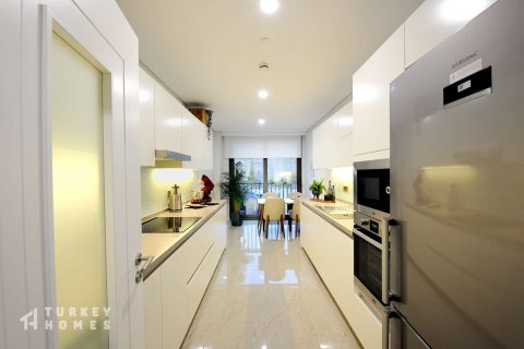 4+1 Lejlighed i Istanbul, Tyrkiet Nr. 233711 - 6