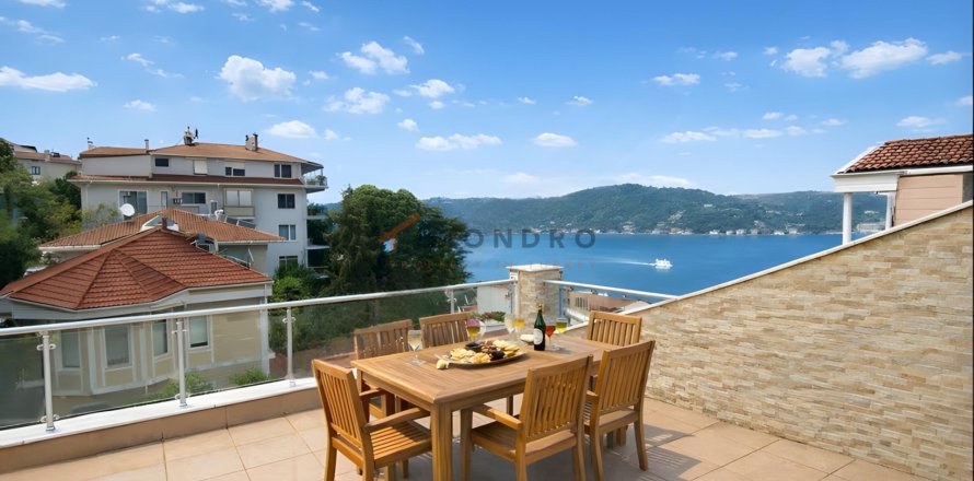 2+1 Lägenhet  i Besiktas, Istanbul, istanbul, Turkiet Nr. 225484