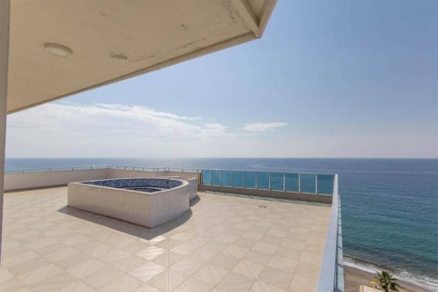 1+1 Lägenhet  i Mahmutlar, Antalya, Turkiet Nr. 222258 - 15