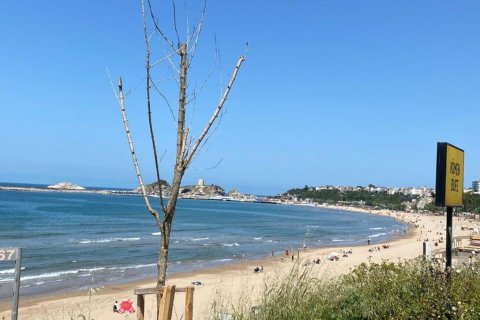 Продажа отеля  в Шишли, Стамбуле, Турция, 450м2, №212414 – фото 4