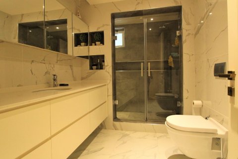 آپارتمان در Tosmur،  Alanya ، ترکیه 3 خوابه ، 165 متر مربع.  شماره 214874 - 18