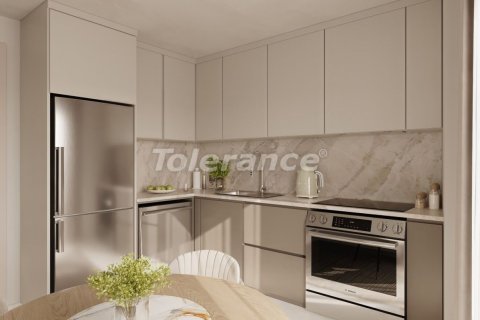 1+1 Lägenhet  i Istanbul, istanbul, Turkiet Nr. 213106 - 8