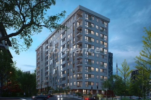 1+1 Lägenhet  i Istanbul, istanbul, Turkiet Nr. 213106 - 2