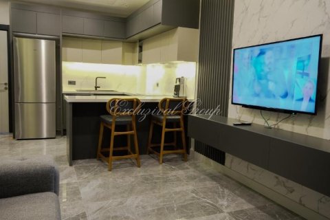 1+0 Leilighet i Bodrum, Mugla, Tyrkia Nr. 226029 - 13