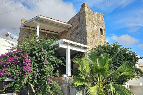 Villa for sale  in Bodrum, Mugla, Turkey, 1 bedroom, 100m2, No. 215201 – photo 1