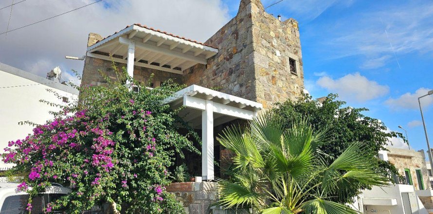 1+1 Villa  in Bodrum, Mugla, Turkey No. 215201