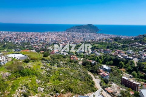 Leilighet  i Alanya, Antalya, Tyrkia Nr. 224345 - 13