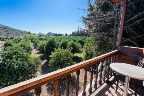 Продажа отеля  в Датче, Мугле, Турция, 2500м2, №213061 – фото 22