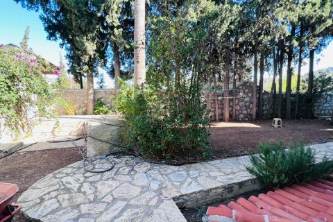 Продажа отеля  в Датче, Мугле, Турция, 2500м2, №213061 – фото 19