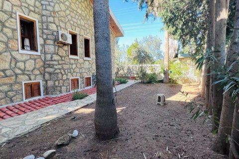 Продажа отеля  в Датче, Мугле, Турция, 2500м2, №213061 – фото 18