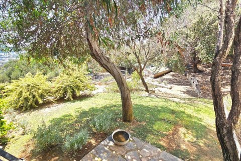 Продажа виллы в Бодруме, Мугле, Турция 5+2, 435м2, №213065 – фото 21