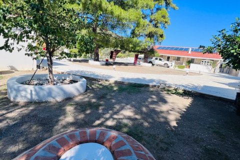 Продажа виллы  в Датче, Мугле, Турция 4+3, 20800м2, №213060 – фото 13